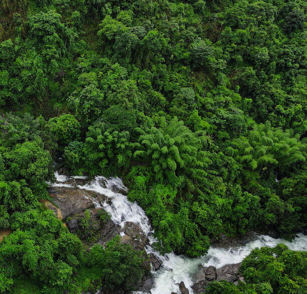 Greenery and waterfalls