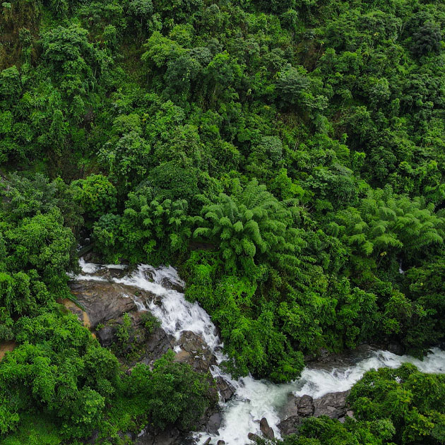 Greenery and waterfalls