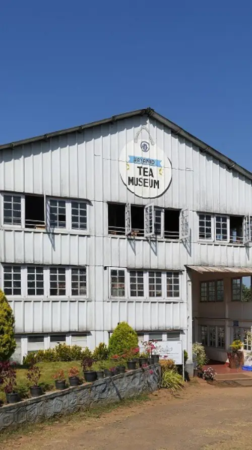Wayanad Tea Museum (Ripon Estate)