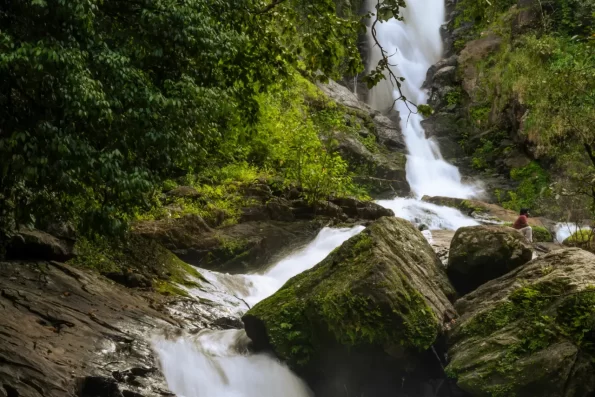 Wayanad Waterfalls