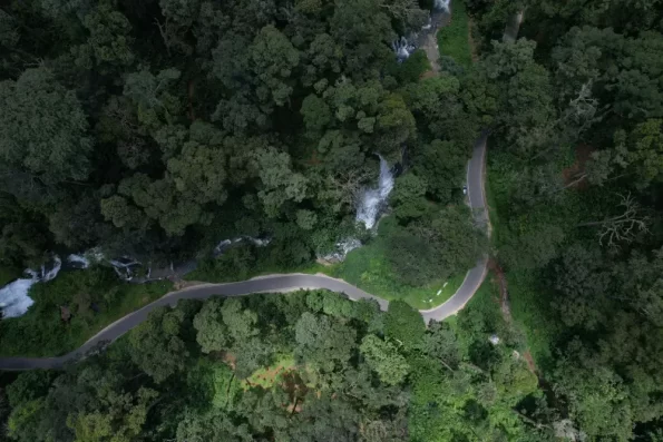 Monsoon Magic in Wayanad: A Romantic Getaway Like No Other 